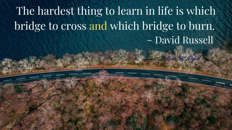 The hardest thing to learn in life is which bridge to cross and which bridge to burn