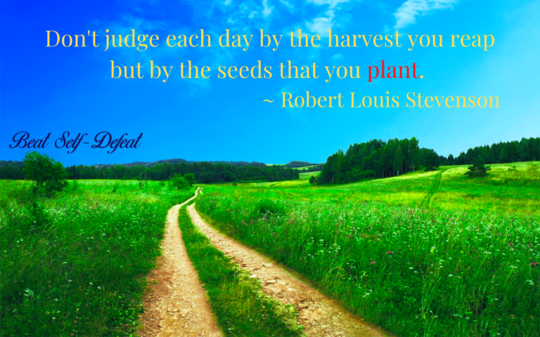 Don't judge each day by the harvest you reap but by the seeds that you plant