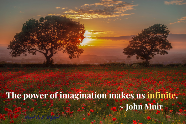 The power of imagination makes us infinite