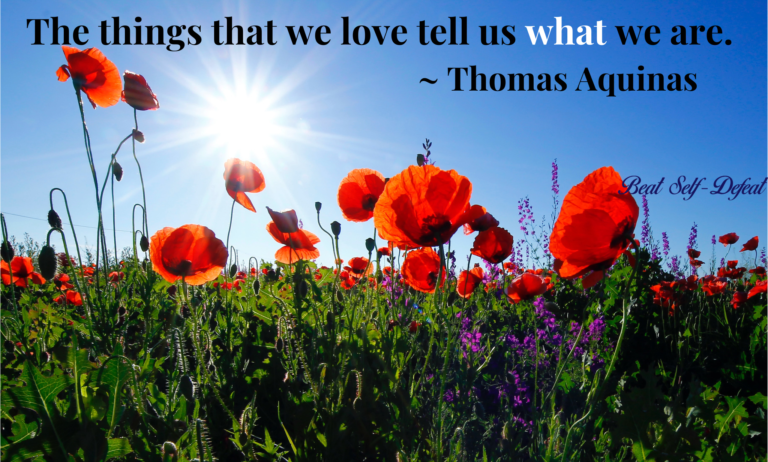 The things that we love tell us what we are