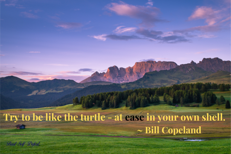 Try to be like the turtle - at ease in your own shell