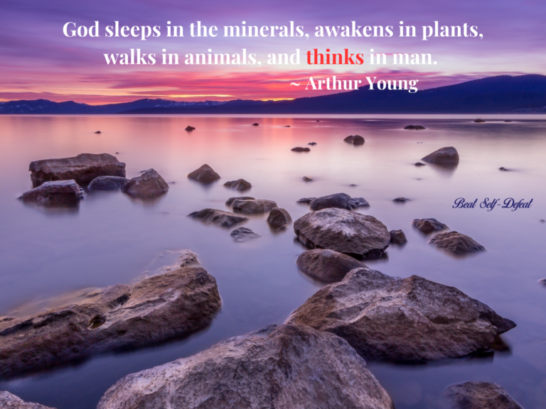 God sleeps in the minerals, awakens in plants, walks in animals, and thinks in man