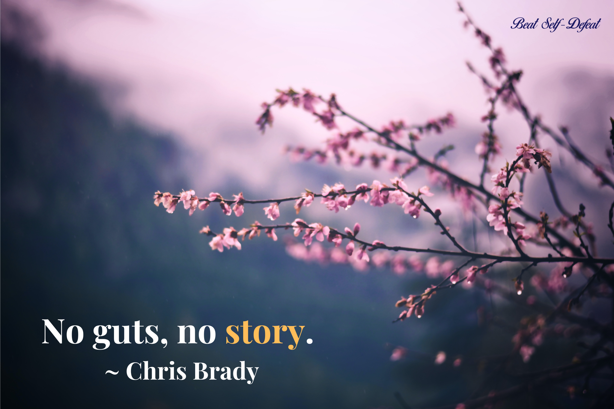 No guts, no story