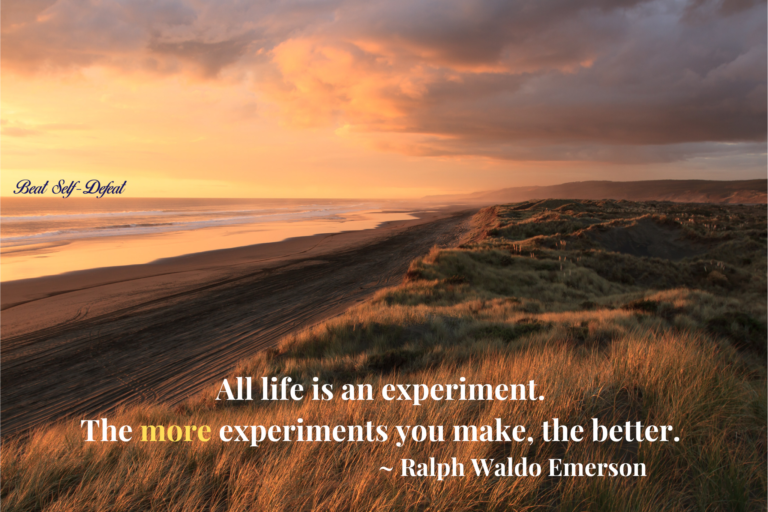 “All life is an experiment. The more experiments you make, the better