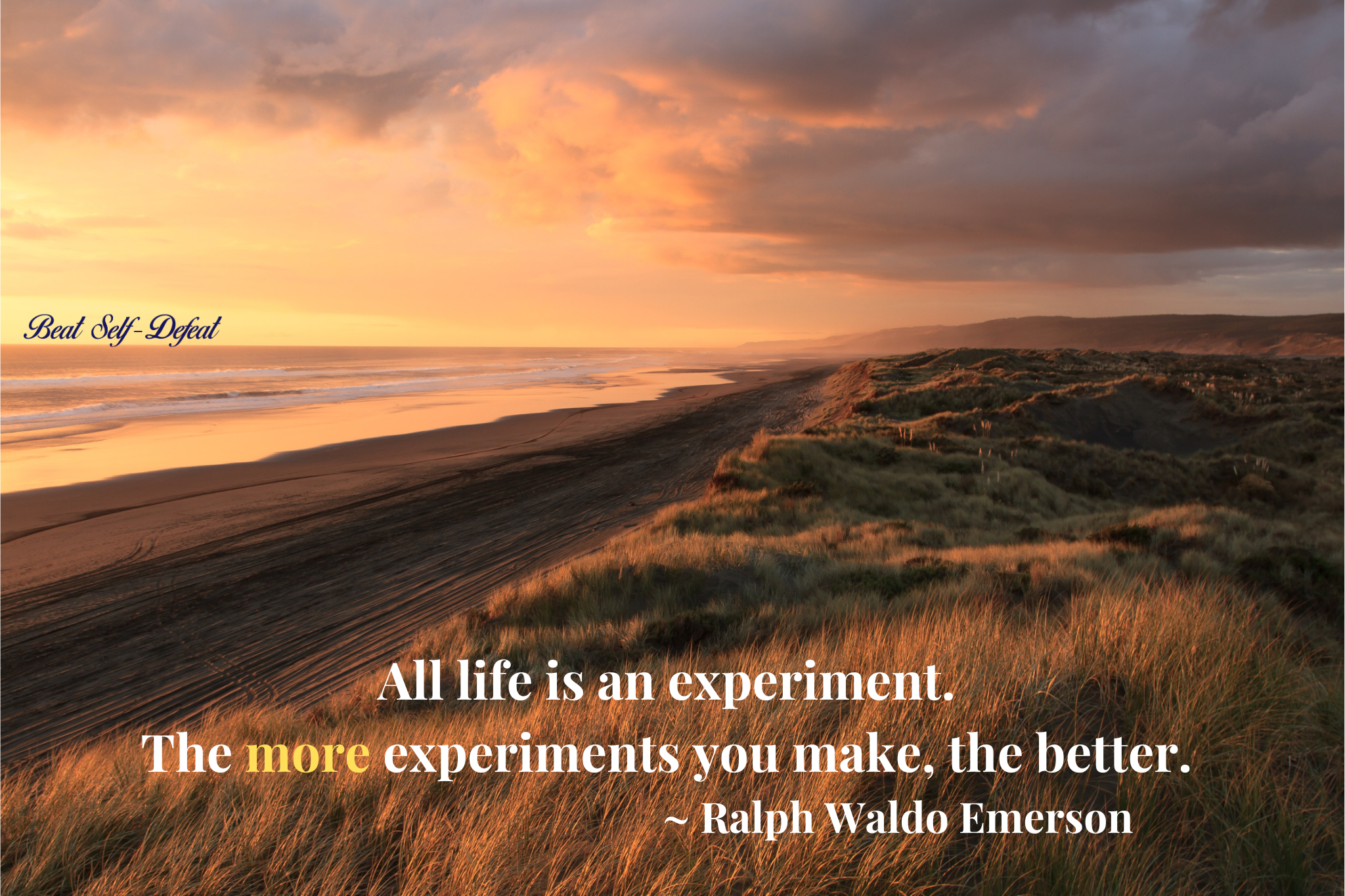 “All life is an experiment. The more experiments you make, the better