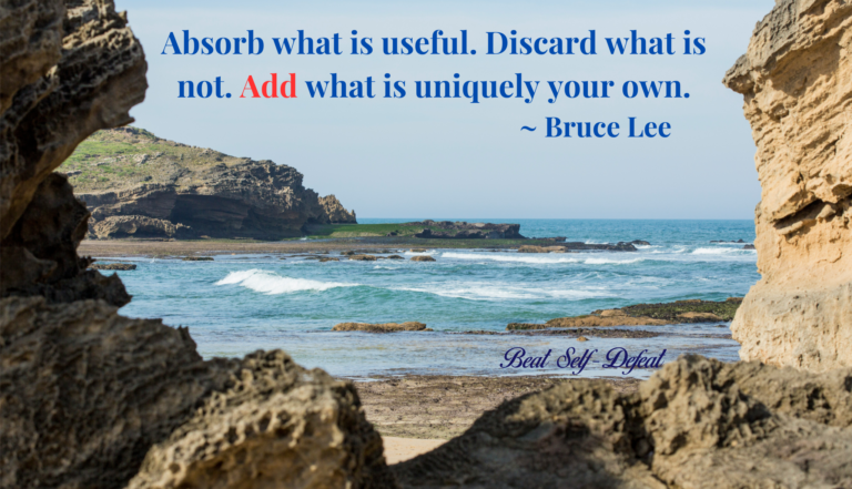 Absorb what is useful. Discard what is not. Add what is uniquely your own