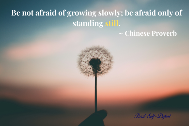 Be not afraid of growing slowly; be afraid only of standing still