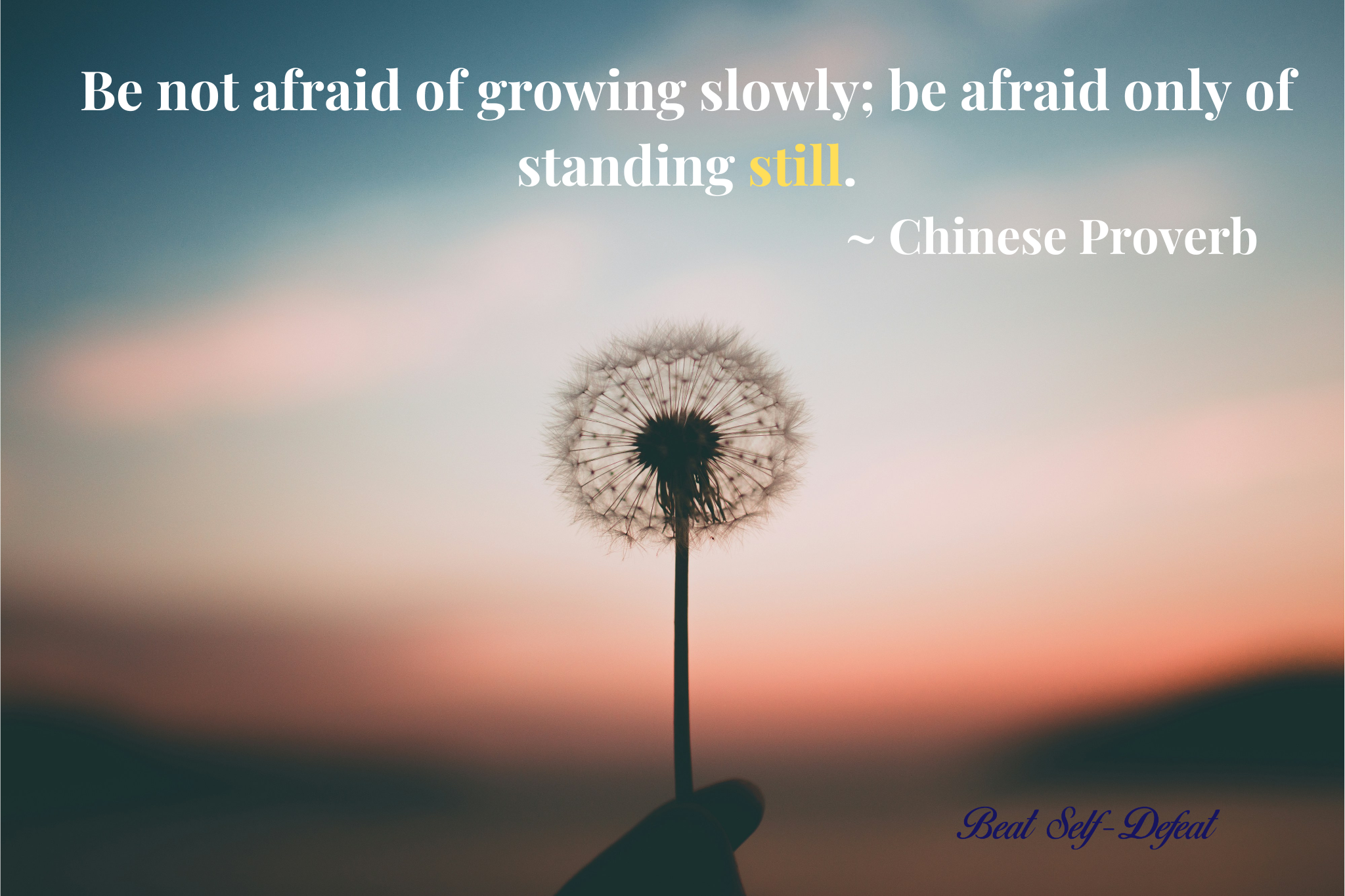 Be not afraid of growing slowly; be afraid only of standing still