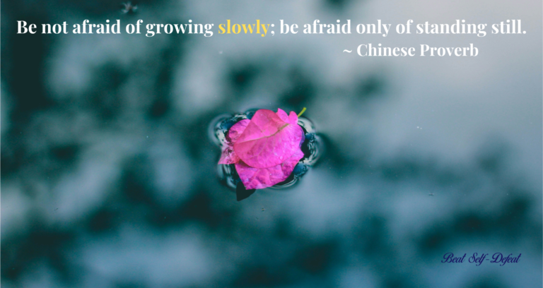 Be not afraid of growing slowly; be afraid only of standing still