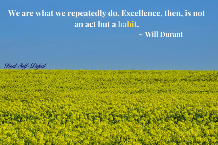 We are what we repeatedly do. Excellence, then, is not an act but a habit