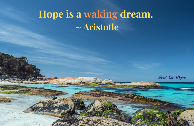 “Hope is a waking dream