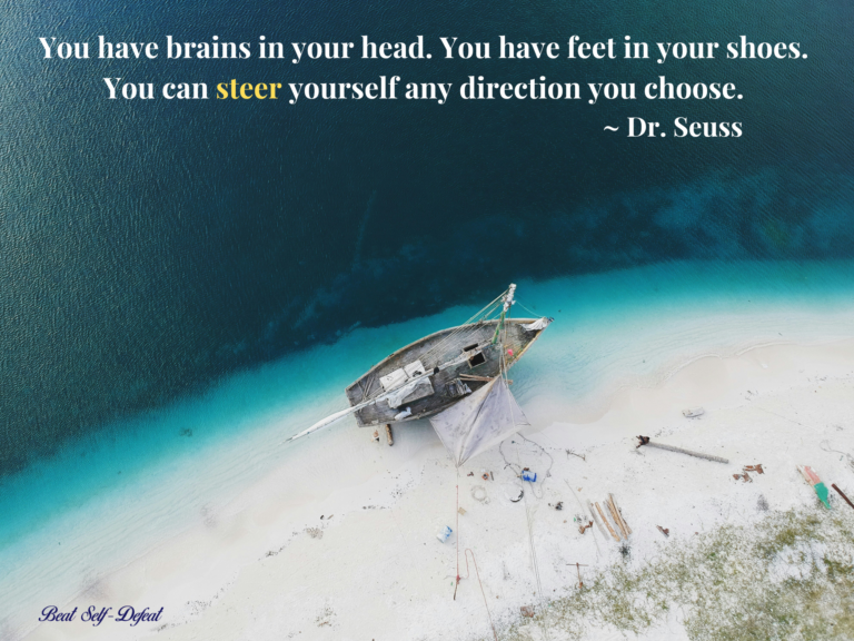 You have brains in your head. You have feet in your shoes. You can steer yourself any direction you choose. ~ Dr